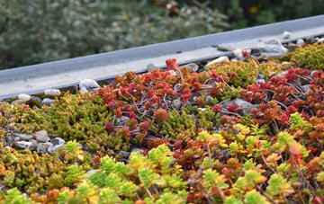 the cost of Duddo green roof installation