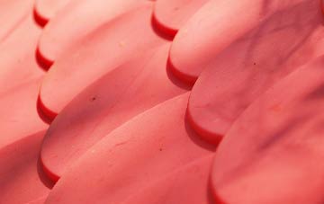 Duddo plastic roof costs