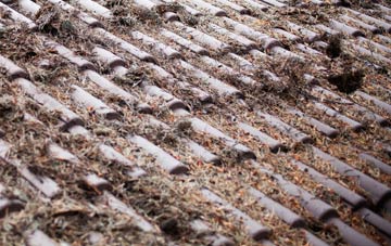 Duddo roof cleaning companies