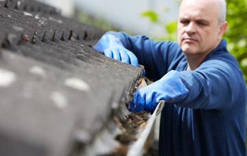 cleaning and inspecting Duddo roofs