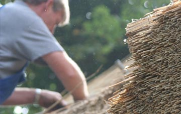 professional Duddo thatchers