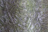 Duddo fibreglass roof work