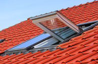 Duddo roof window